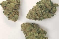 Key Lime Pie