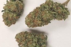 Jupiter OG
