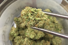 Black Ice OG